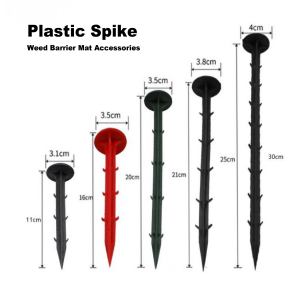 1748006636663849.png Spike_00(1).png